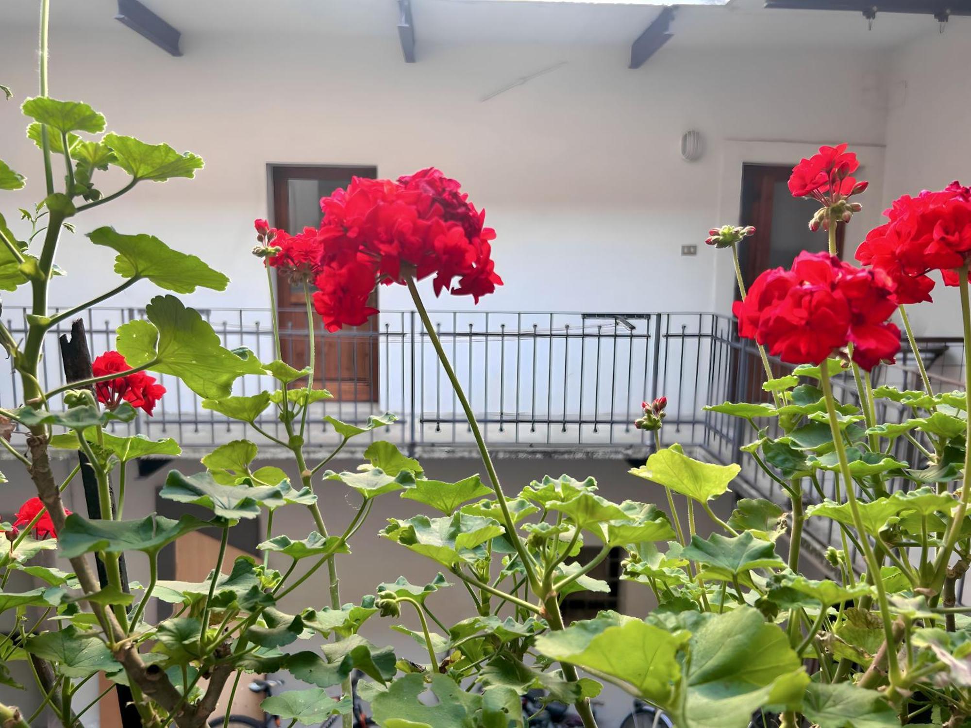 Gorizia Holiday Inn Rastello Suite ภายนอก รูปภาพ